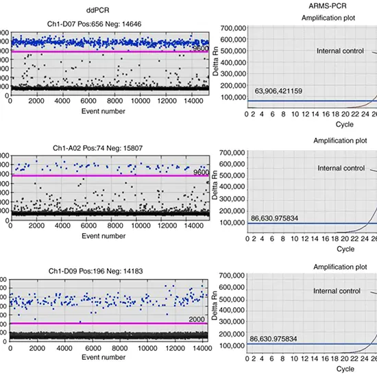EGFR Mutation Analysis by ARMS PCR